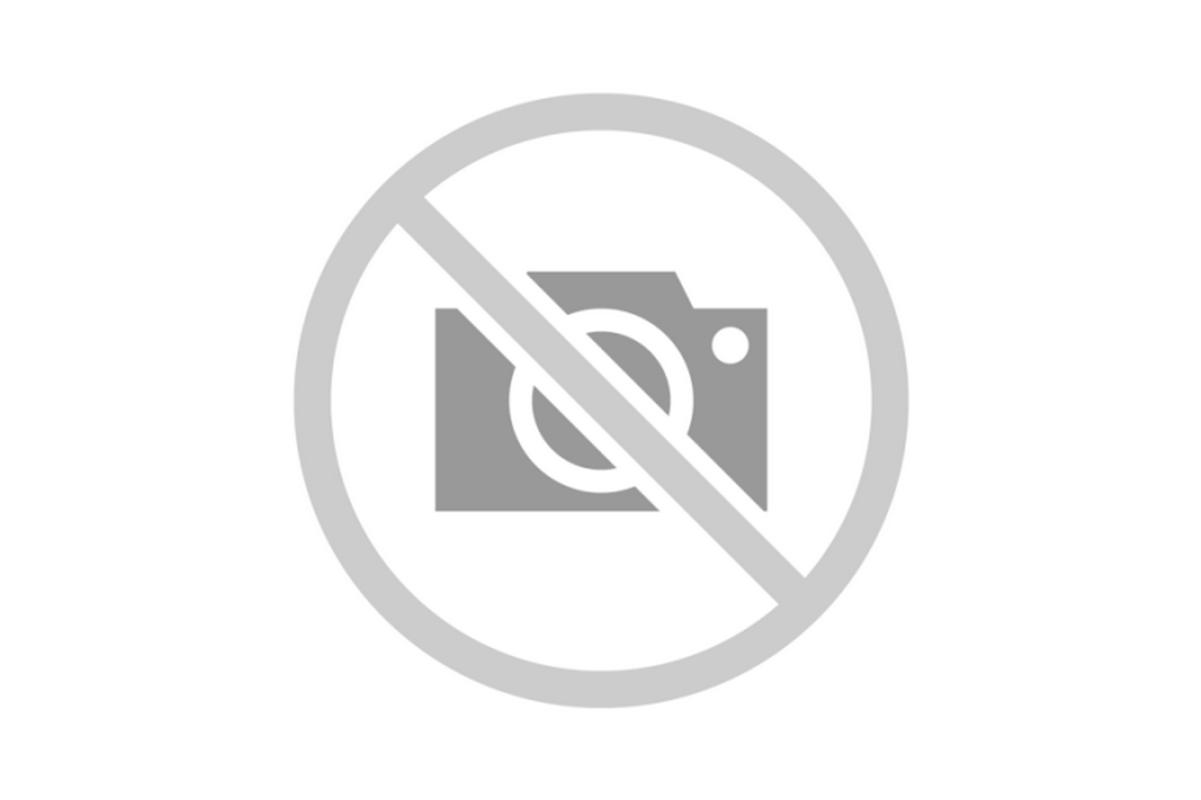Immagine non disponibile