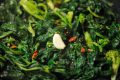 cime di rapa ripassate